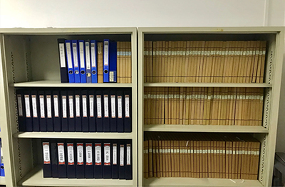 數字化浪潮下的專業守護者 山東檔案服務外包行業解析